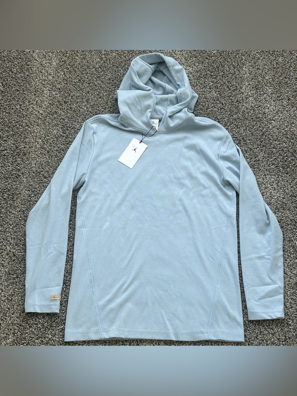 Nike Jordan Sport Men's Pullover Golf Hoodie Blue Mens Size Small HQ8494-440